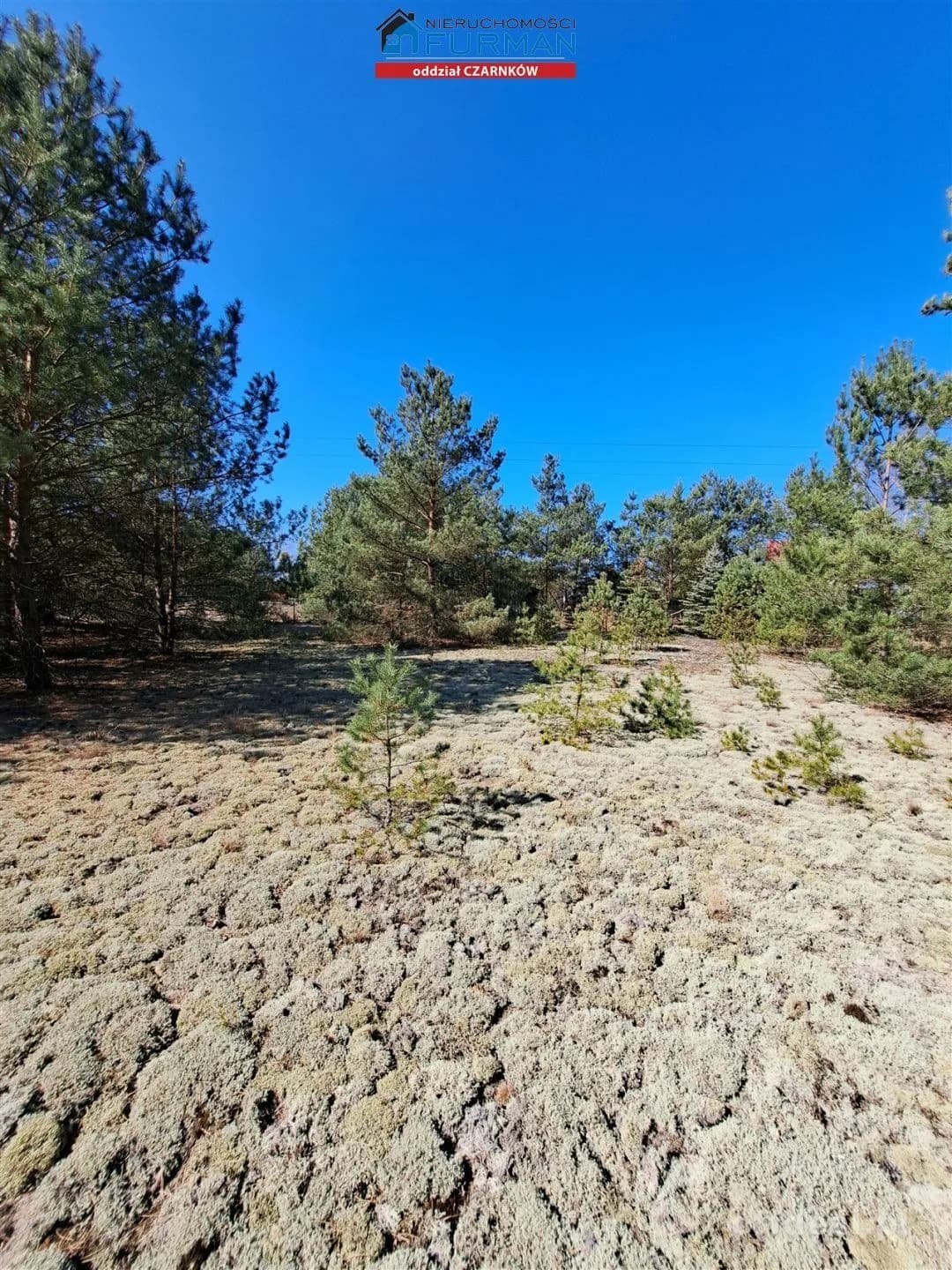 terrain à vendre à Biała | 1 498 m²