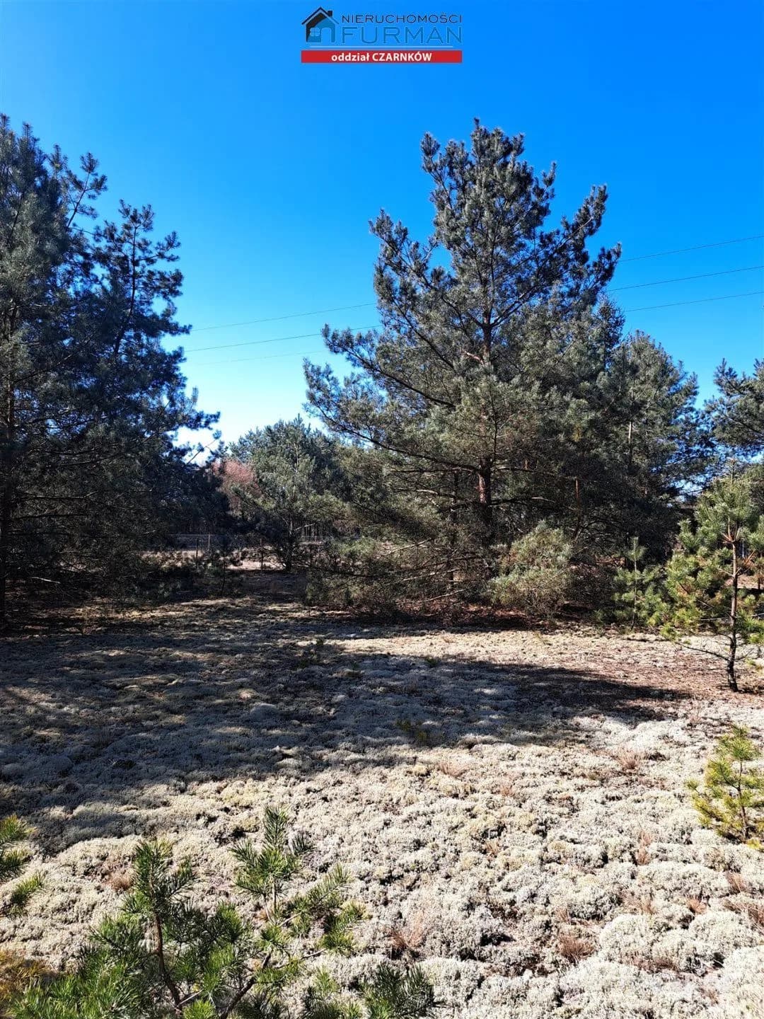 terrain à vendre à Biała | 1 498 m²