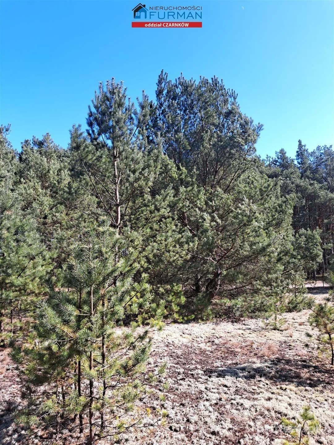 terrain à vendre à Biała | 1 498 m²