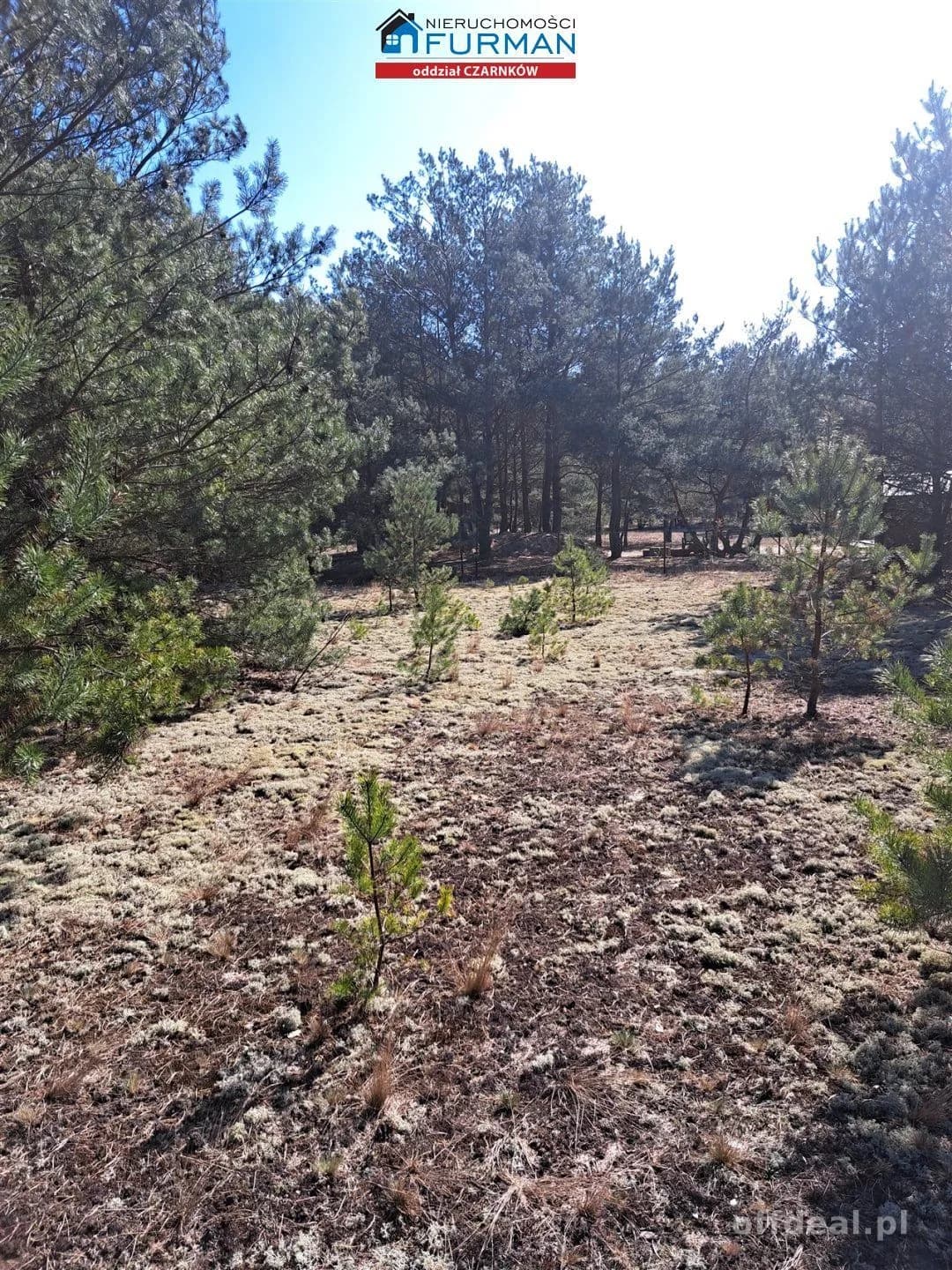 terrain à vendre à Biała | 1 498 m²