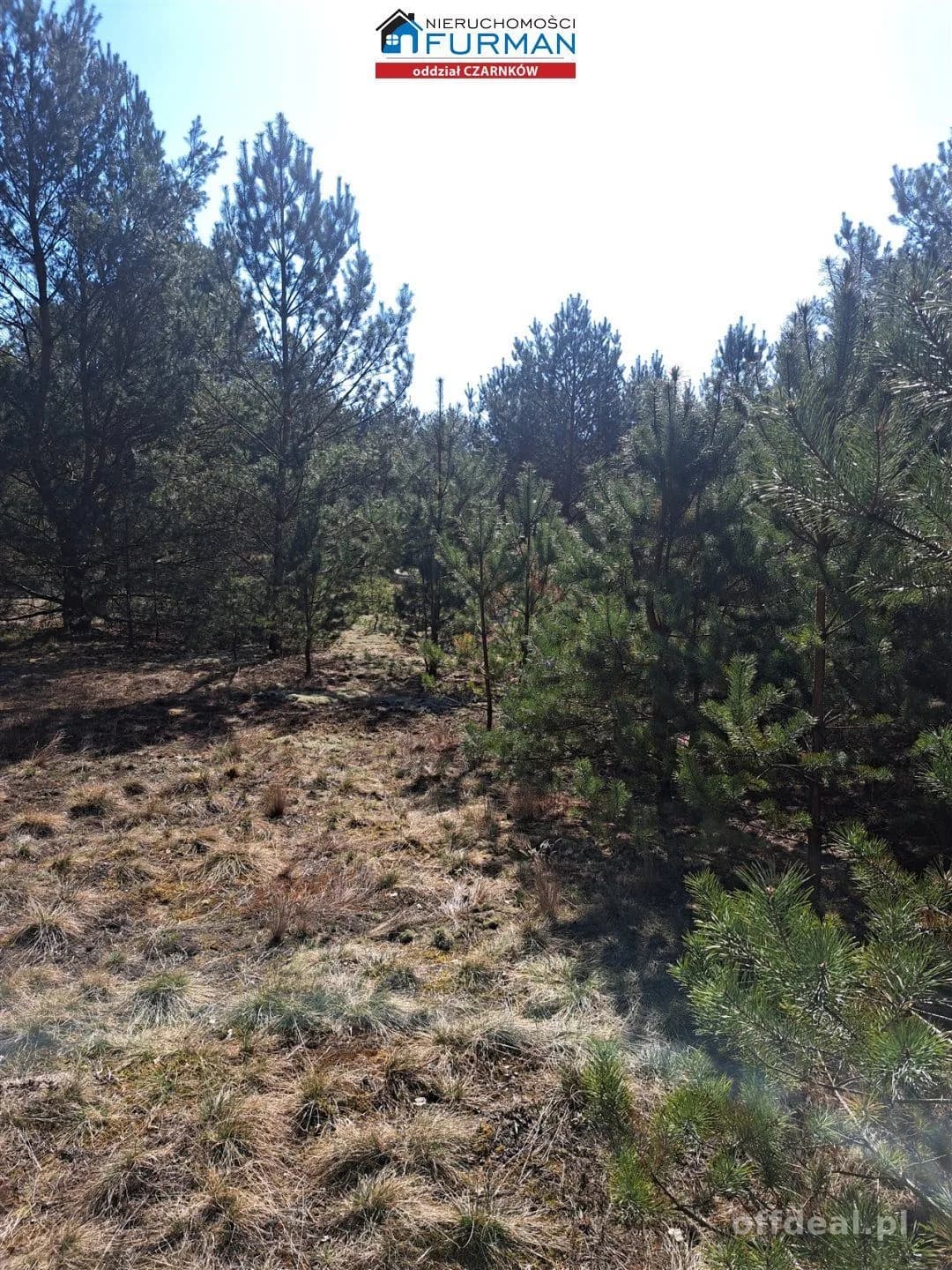 terrain à vendre à Biała | 1 498 m²