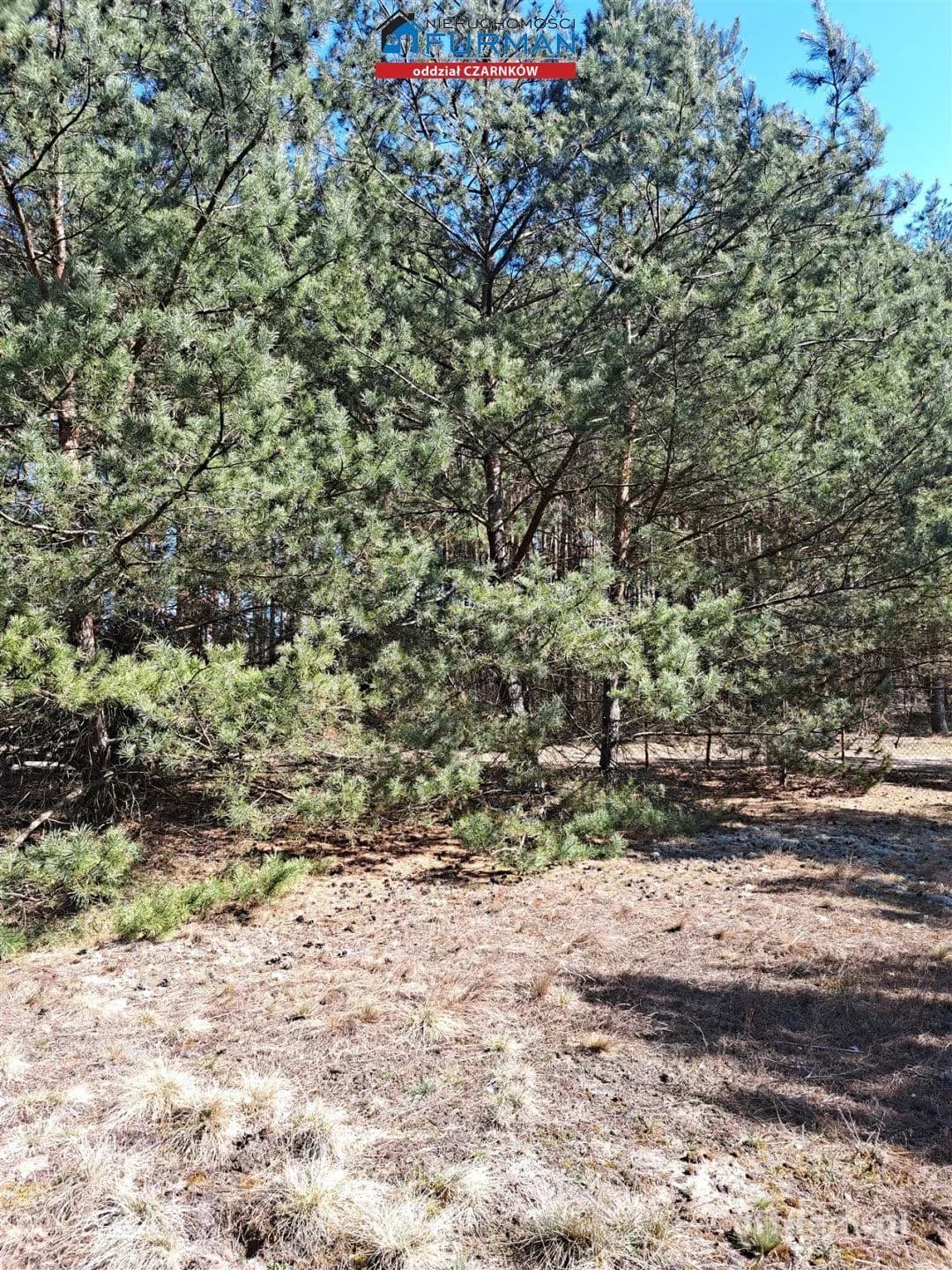 terrain à vendre à Biała | 1 498 m²