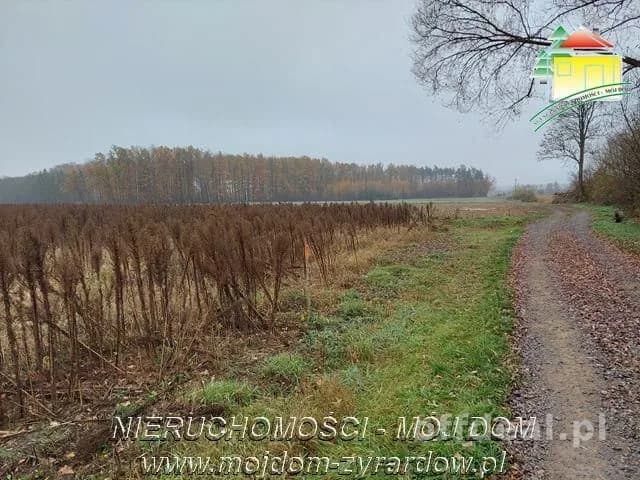 Polecamy działki w Miedniewicach