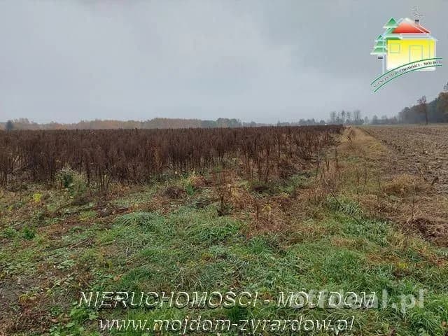 Polecamy działki w Miedniewicach