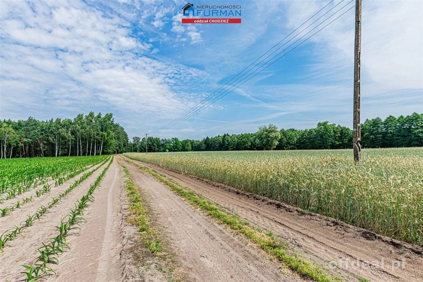 terrain à vendre à Wyszynki | 800 m²