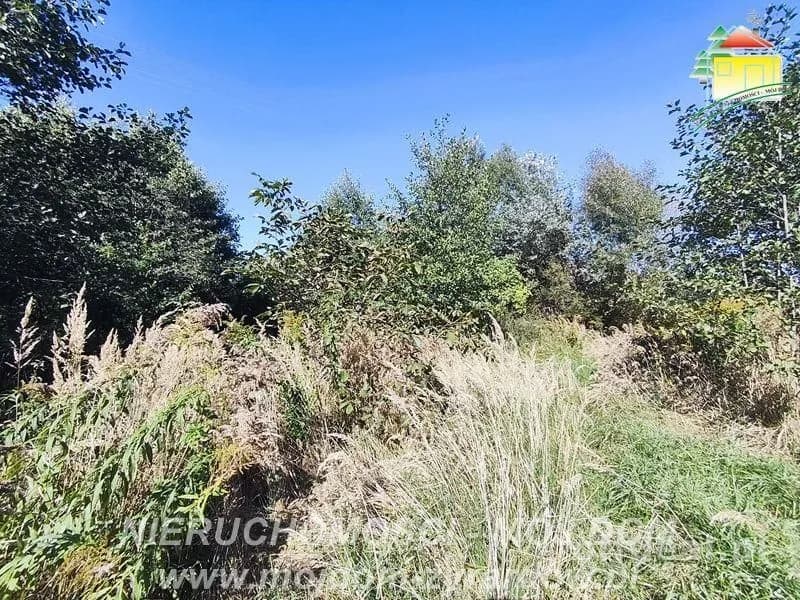 plot for sale in Korytów A | 13,000 m²