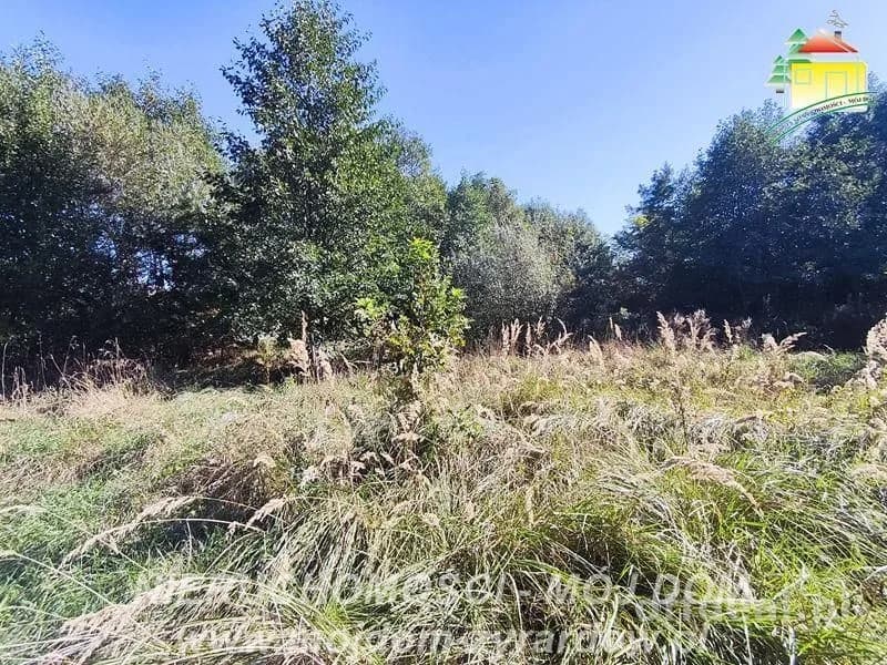 plot for sale in Korytów A | 13,000 m²