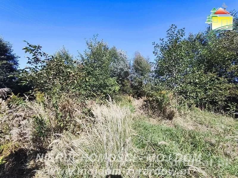 plot for sale in Korytów A | 13,000 m²
