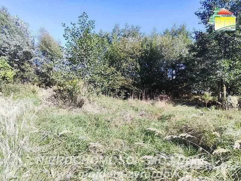 plot for sale in Korytów A | 13,000 m²