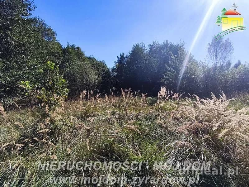plot for sale in Korytów A | 13,000 m²