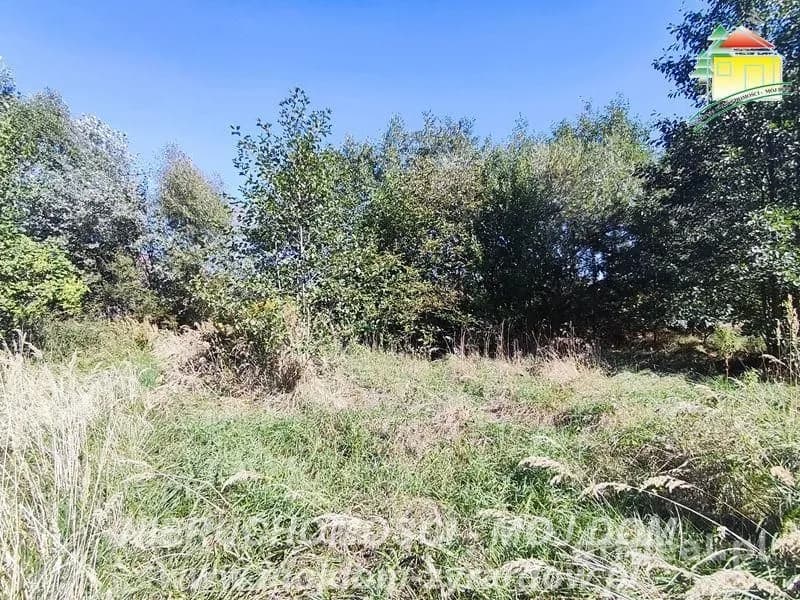 plot for sale in Korytów A | 13,000 m²
