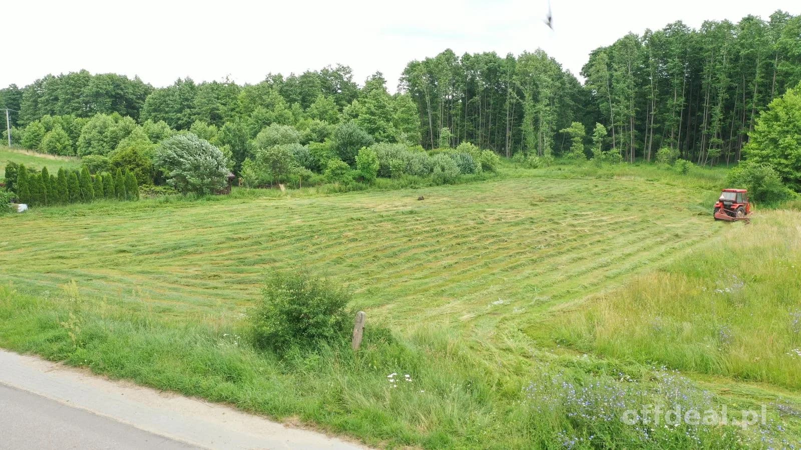 Działki rolne na sprzedaż – Kiełcze-Kopki, gm. Kolno | 0,5778 ha