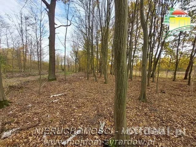 Kształtna działka w Benenardzie