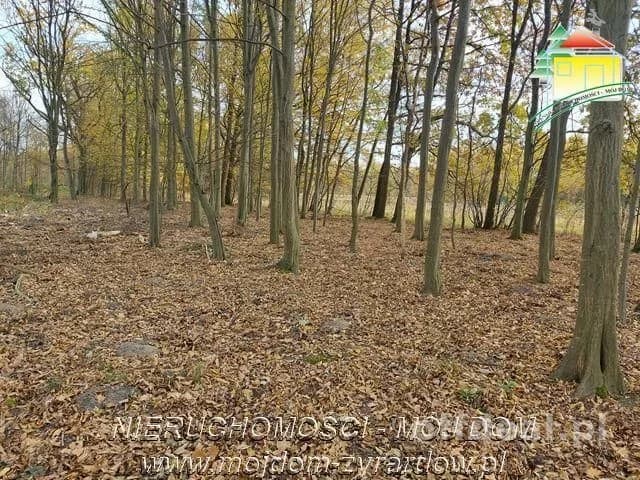 Kształtna działka w Benenardzie
