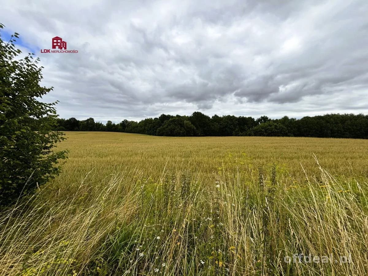 Doskonała lokalizacja i potencjał agroturystyczny!