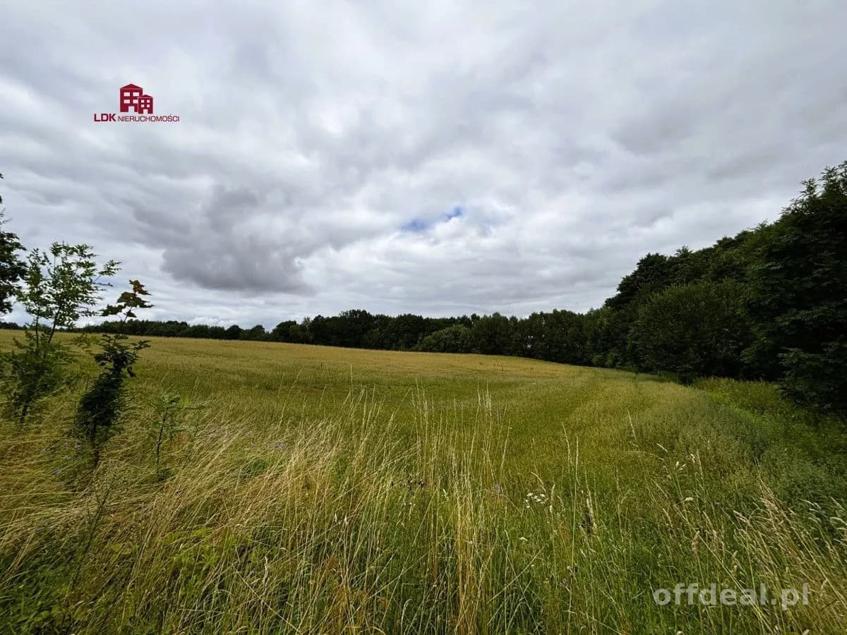 Doskonała lokalizacja i potencjał agroturystyczny!
