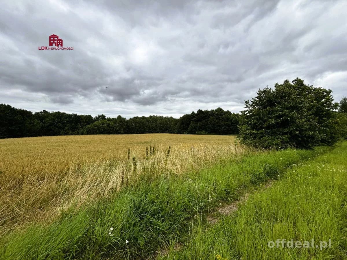 Doskonała lokalizacja i potencjał agroturystyczny!