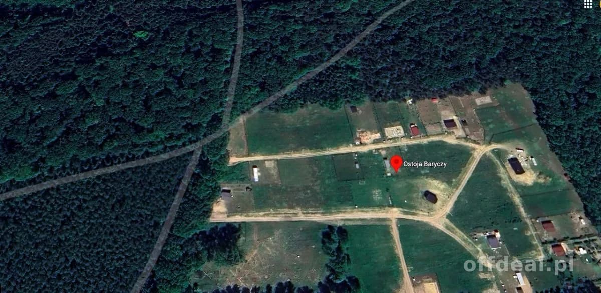 ŚRODEK LASU, DZIAŁKA 5 ARÓW,OSTOJA BARYCZY, NATURA