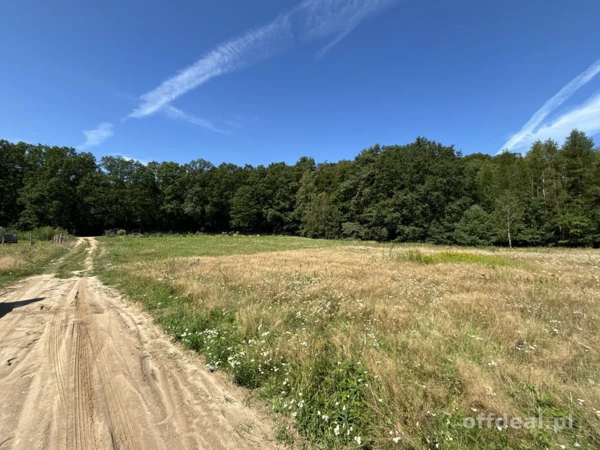 ŚRODEK LASU, DZIAŁKA 5 ARÓW,OSTOJA BARYCZY, NATURA