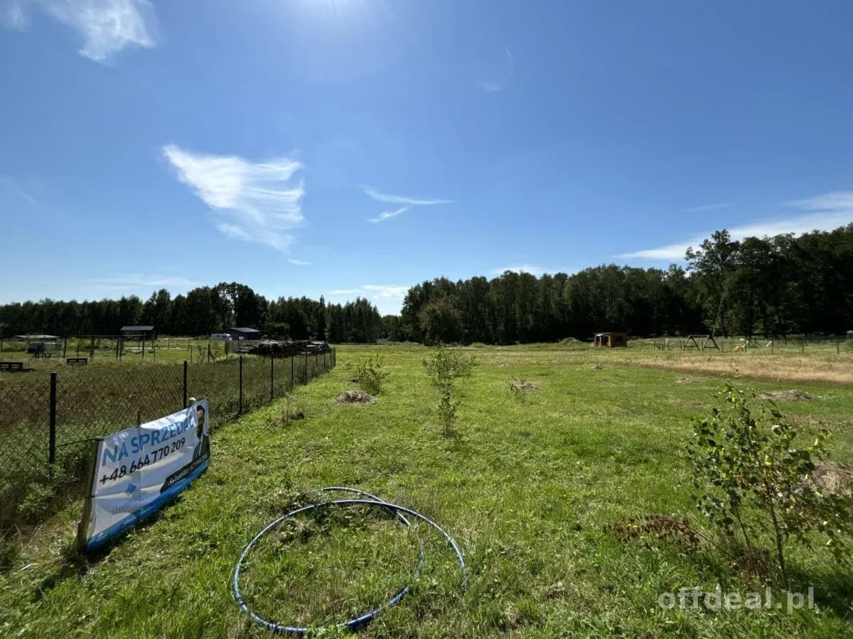 ŚRODEK LASU, DZIAŁKA 5 ARÓW,OSTOJA BARYCZY, NATURA