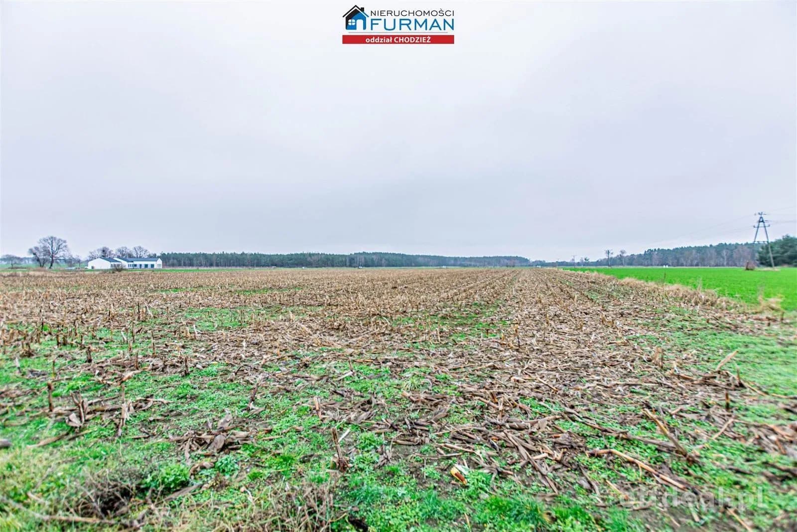 plot for sale in Boruchowo | 11,468 m²