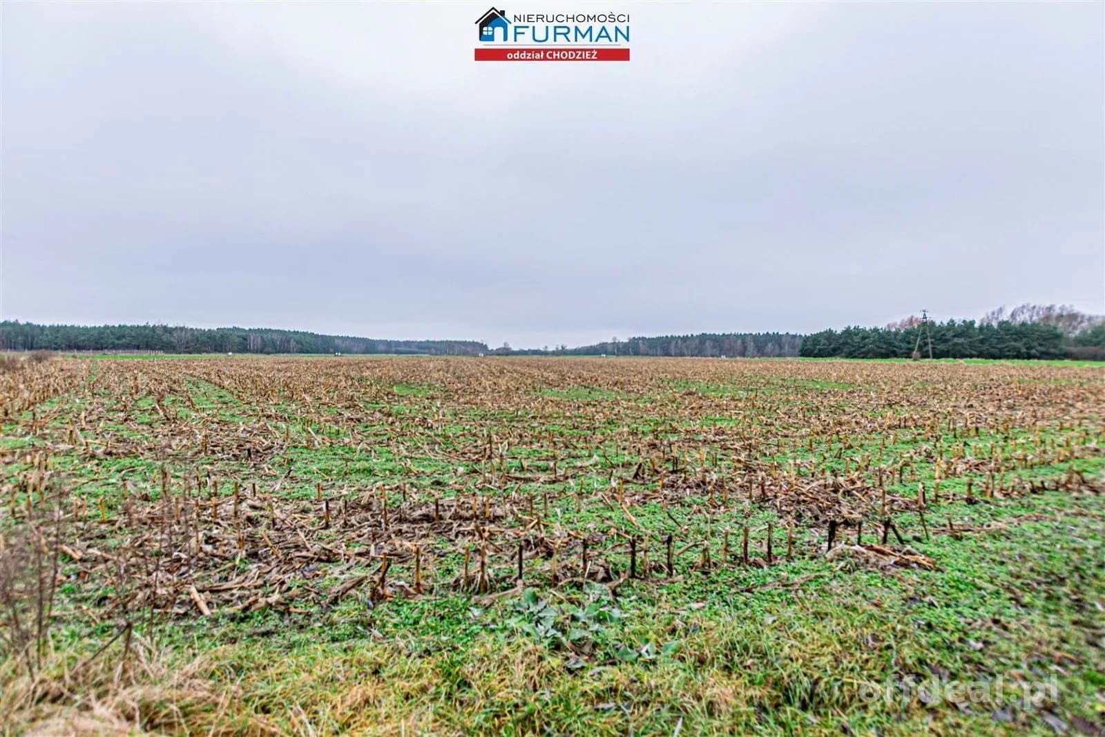 plot for sale in Boruchowo | 11,468 m²