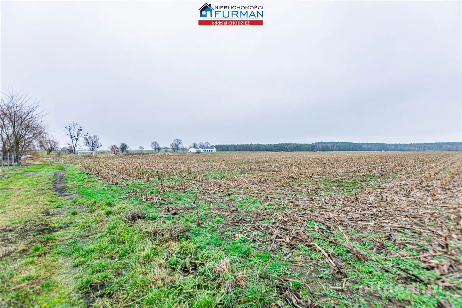 plot for sale in Boruchowo | 11,468 m²
