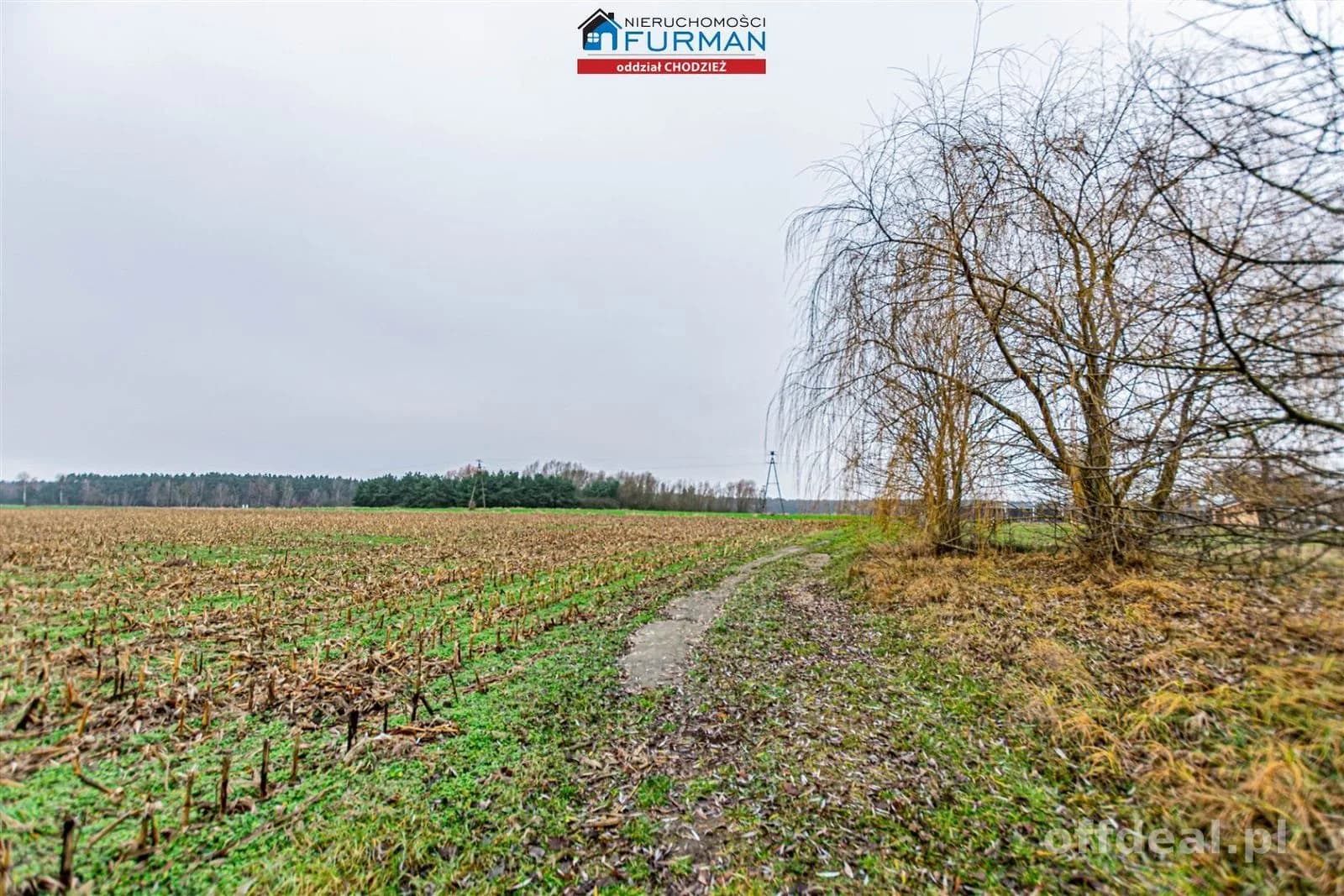 plot for sale in Boruchowo | 11,468 m²