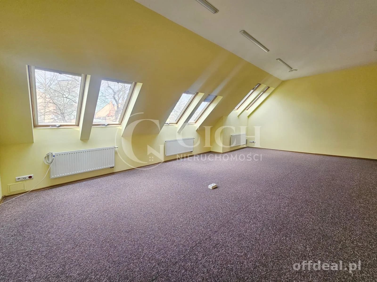 Duży lokal biurowy -119,5 m2