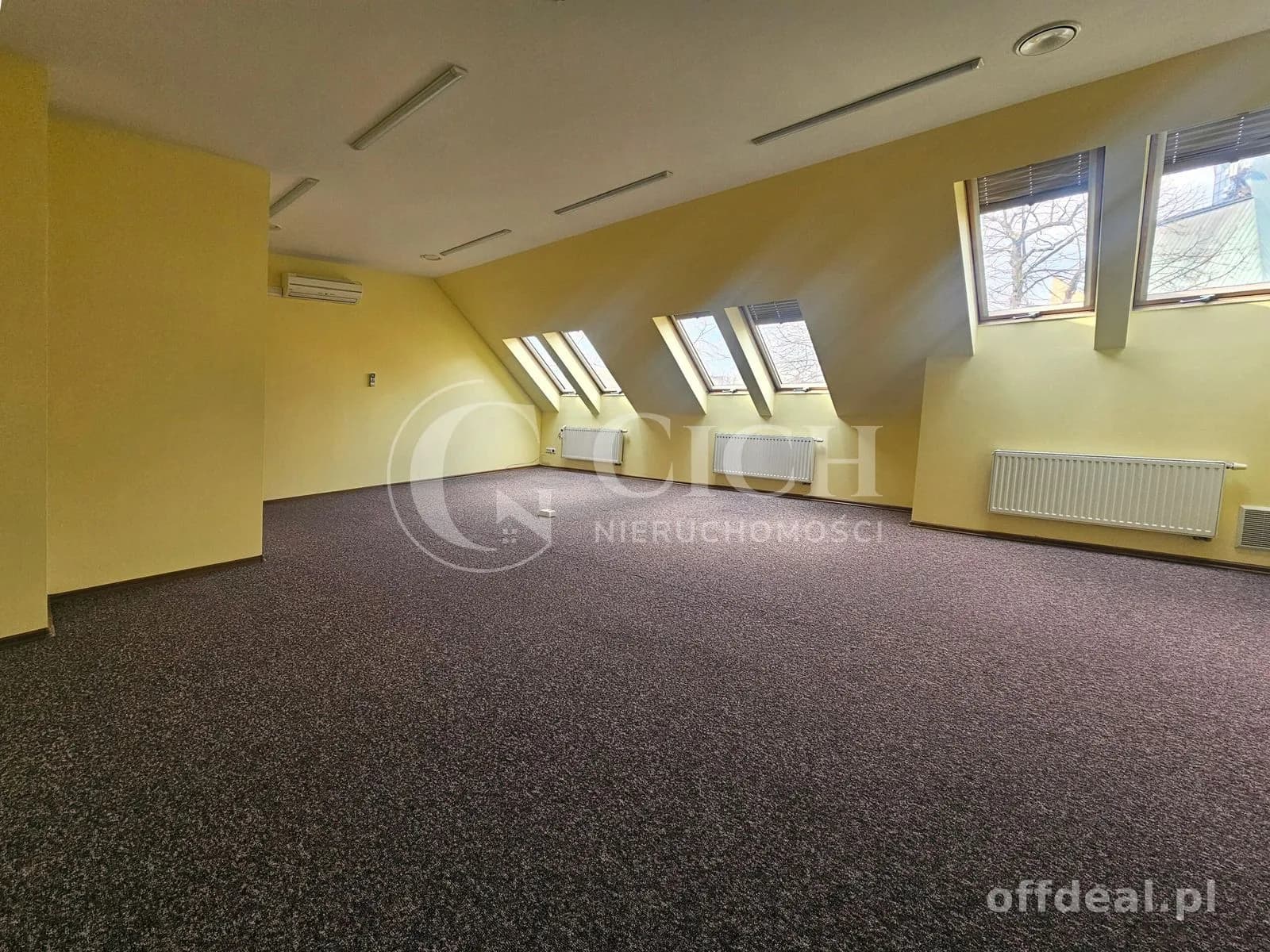 Duży lokal biurowy -119,5 m2