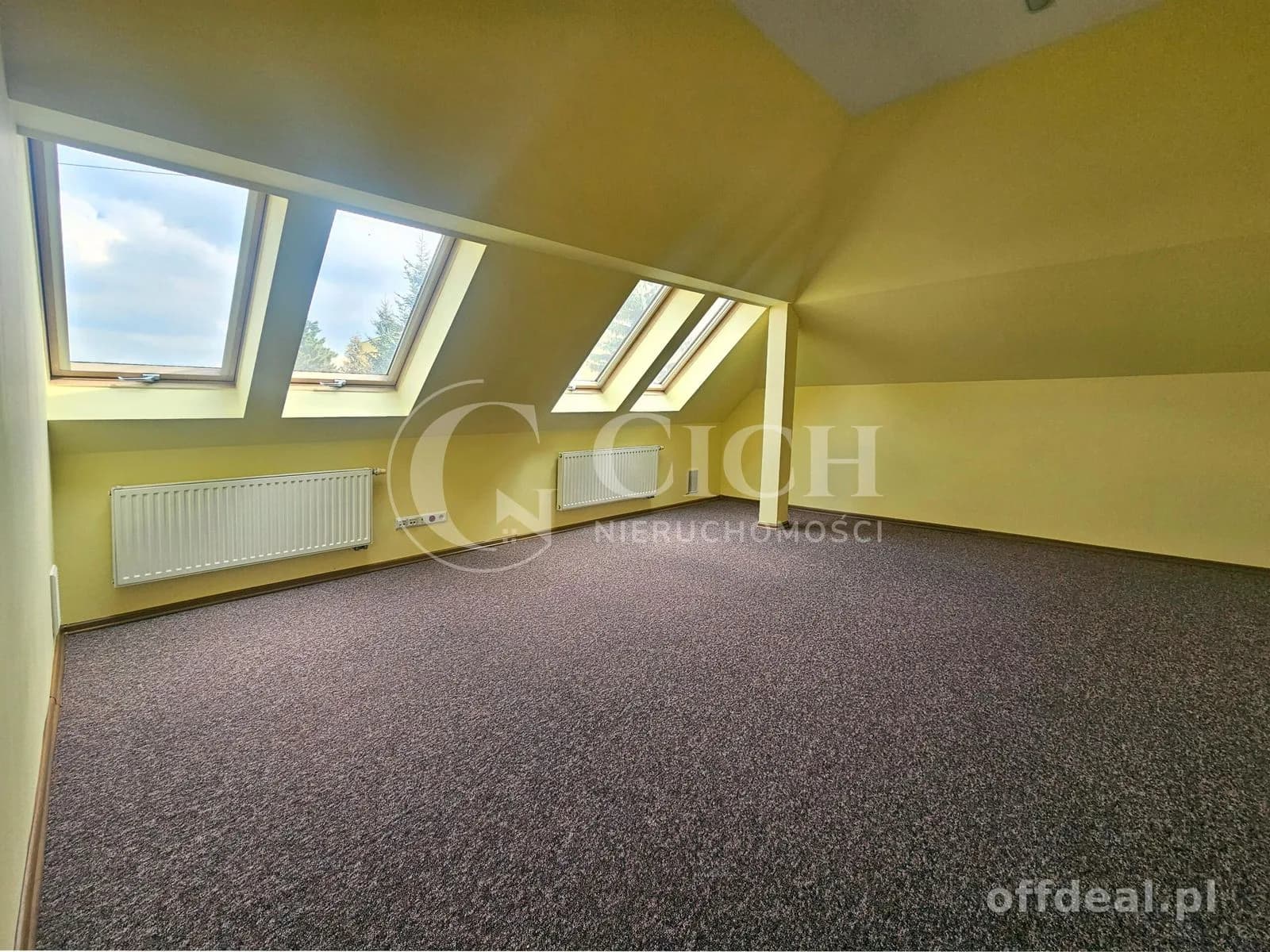 Duży lokal biurowy -119,5 m2