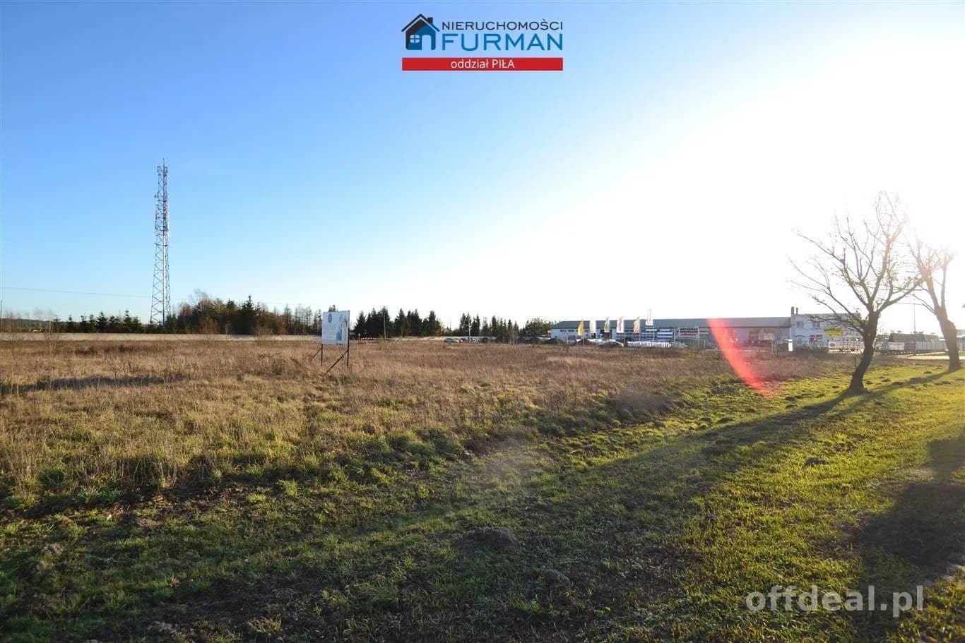 terrain à vendre à Piła, Motylewo | 19 704 m²