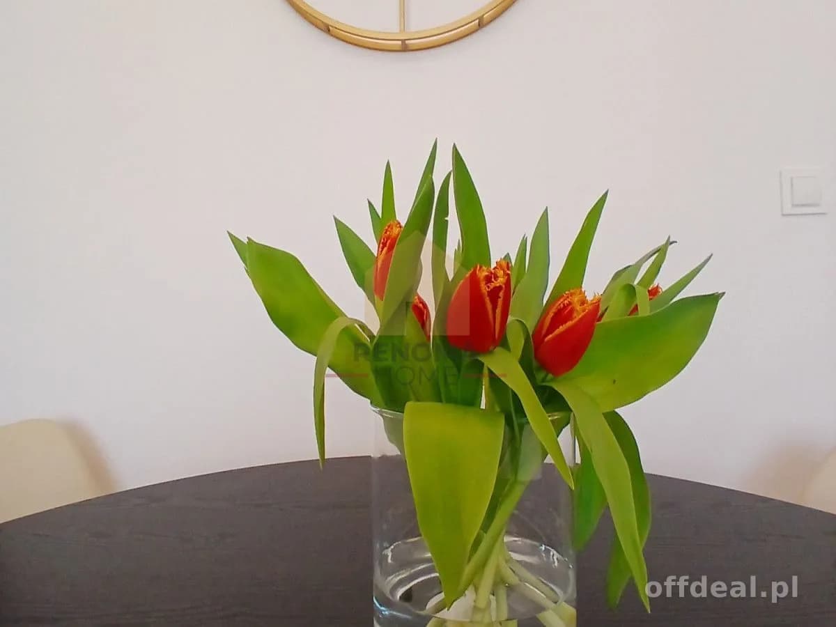 Komfortowe 3 pokoje po remoncie | balkon |