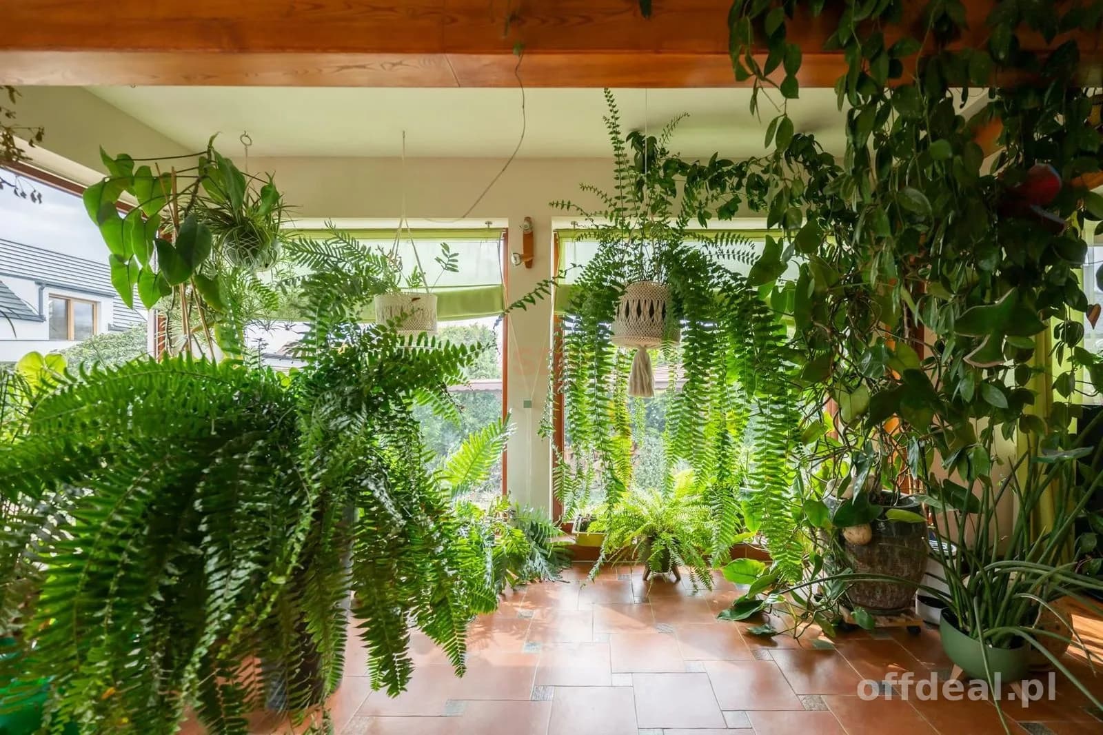 7-Zimmer Haus zum Verkauf in Długołęka | 266 m²