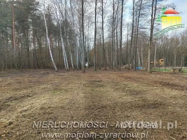 Działka budowlana w leśnej okolicy.