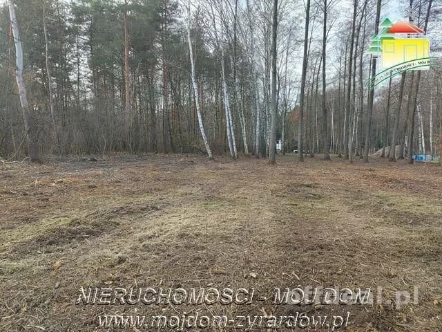 Działka budowlana w leśnej okolicy.