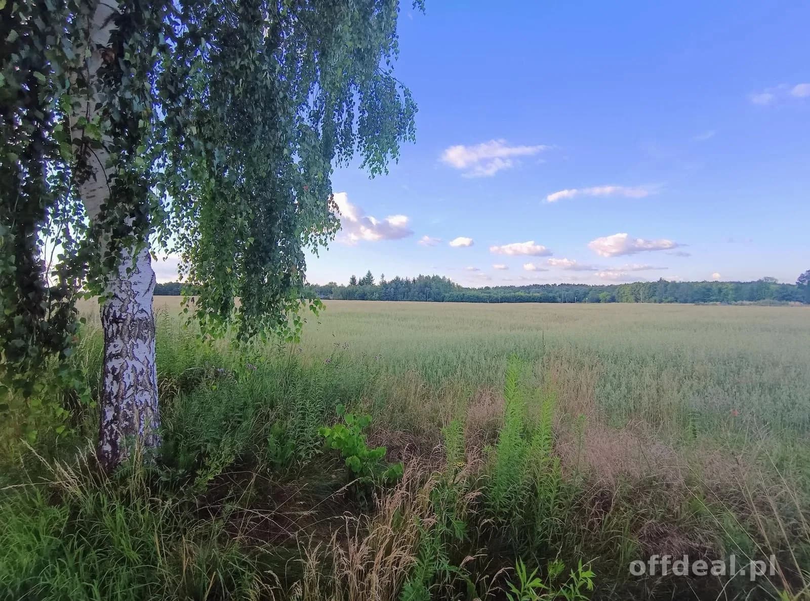 Grundstück zum Verkauf in Niesułków-Kolonia | 914 m²