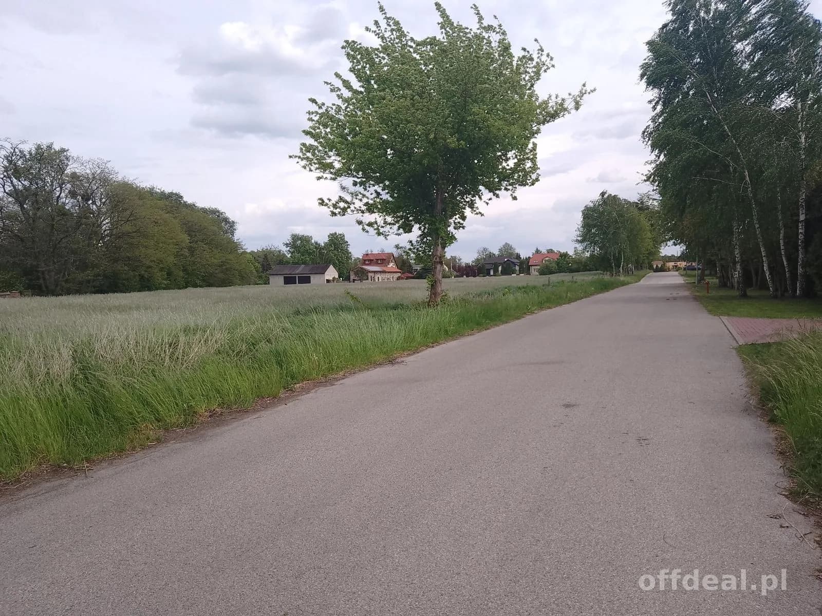Grundstück zum Verkauf in Niesułków-Kolonia | 914 m²