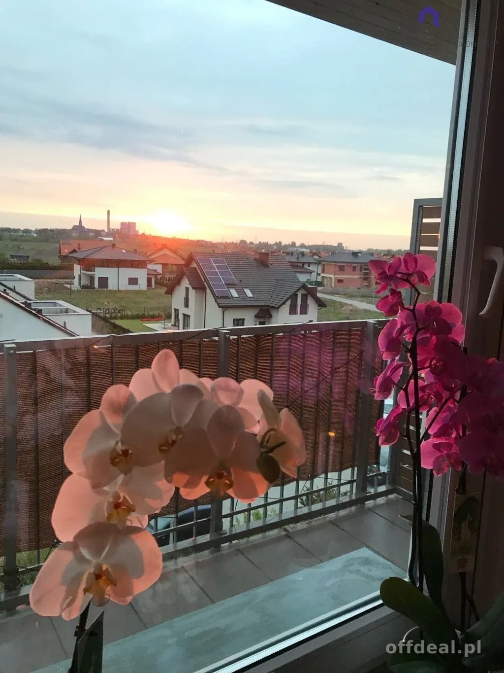 Mieszkanie na wynajem, Siemianowice Śląskie