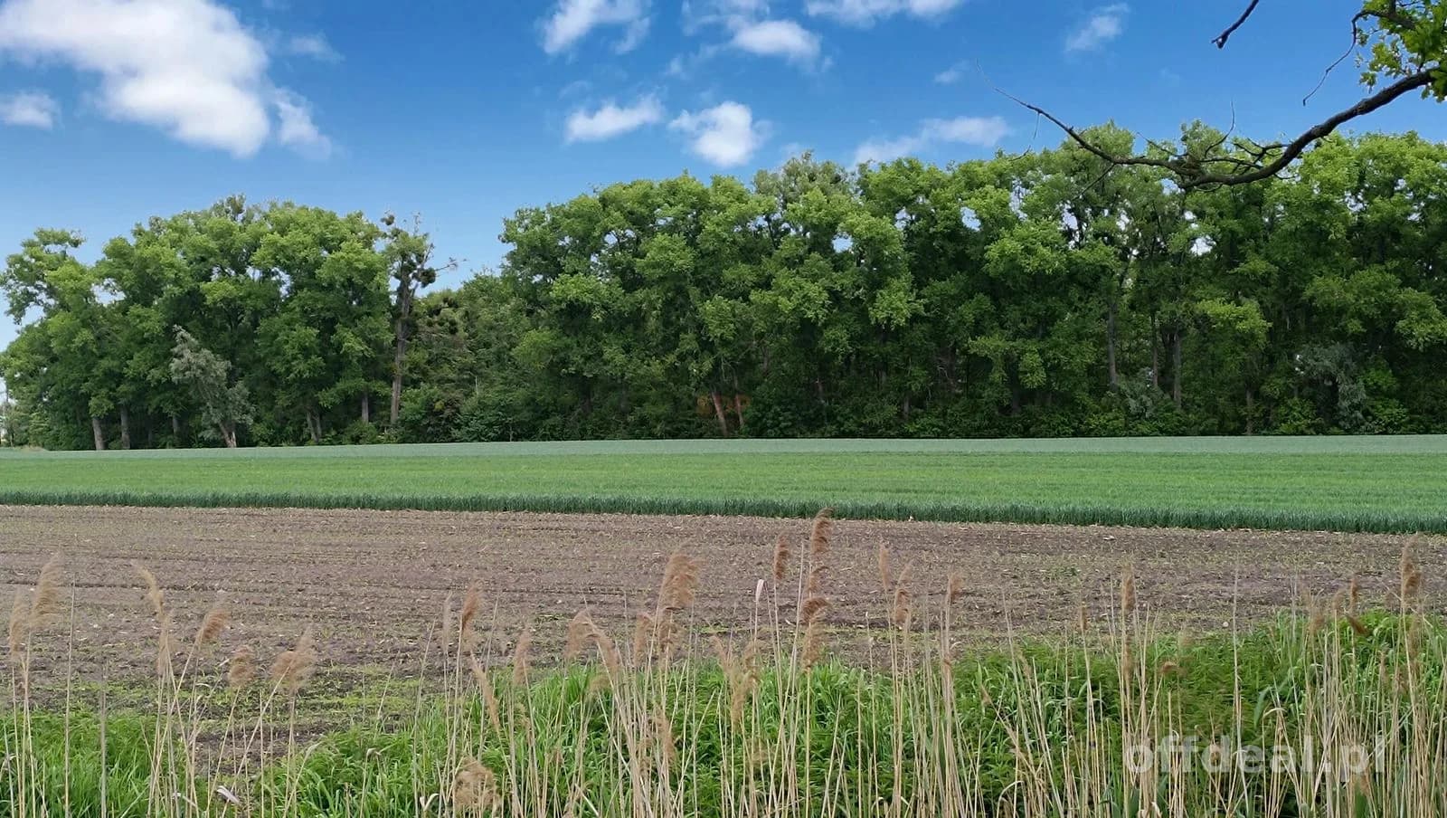 plot for sale in Wojkowice | 10,001 m²