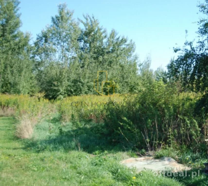 Photo 4: Terrain, Radomierzyce