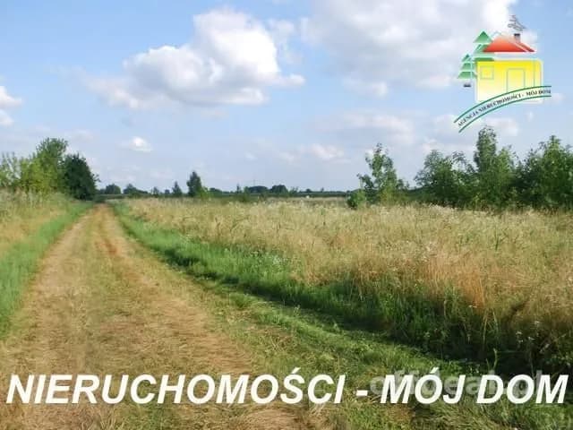 Działka na sprzedaż, Wiskitki