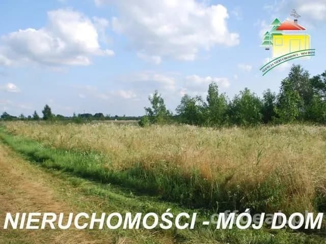 Działka na sprzedaż, Wiskitki