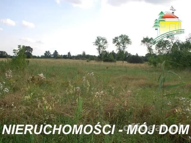 Działka na sprzedaż, Wiskitki