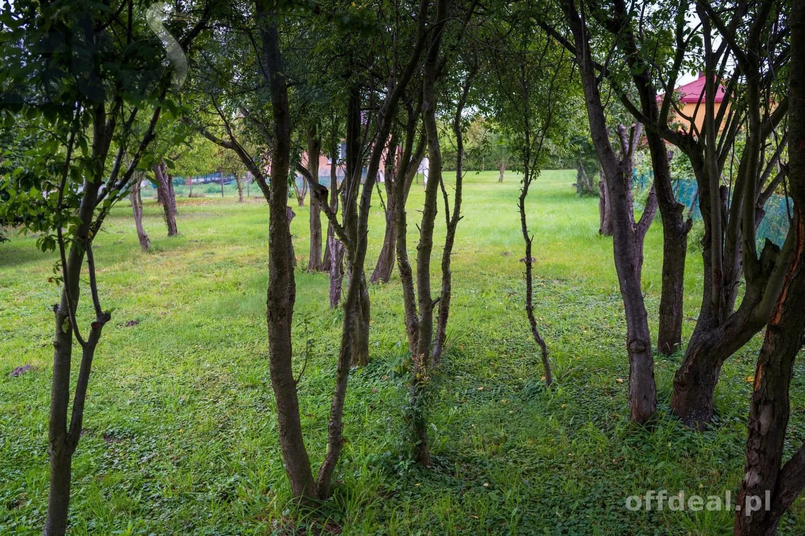 Zdjęcie 6: Działka, 1309 m², Grabina Radziwiłłowska