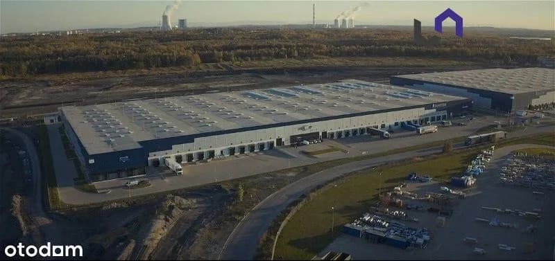 Lokal na wynajem, Sosnowiec