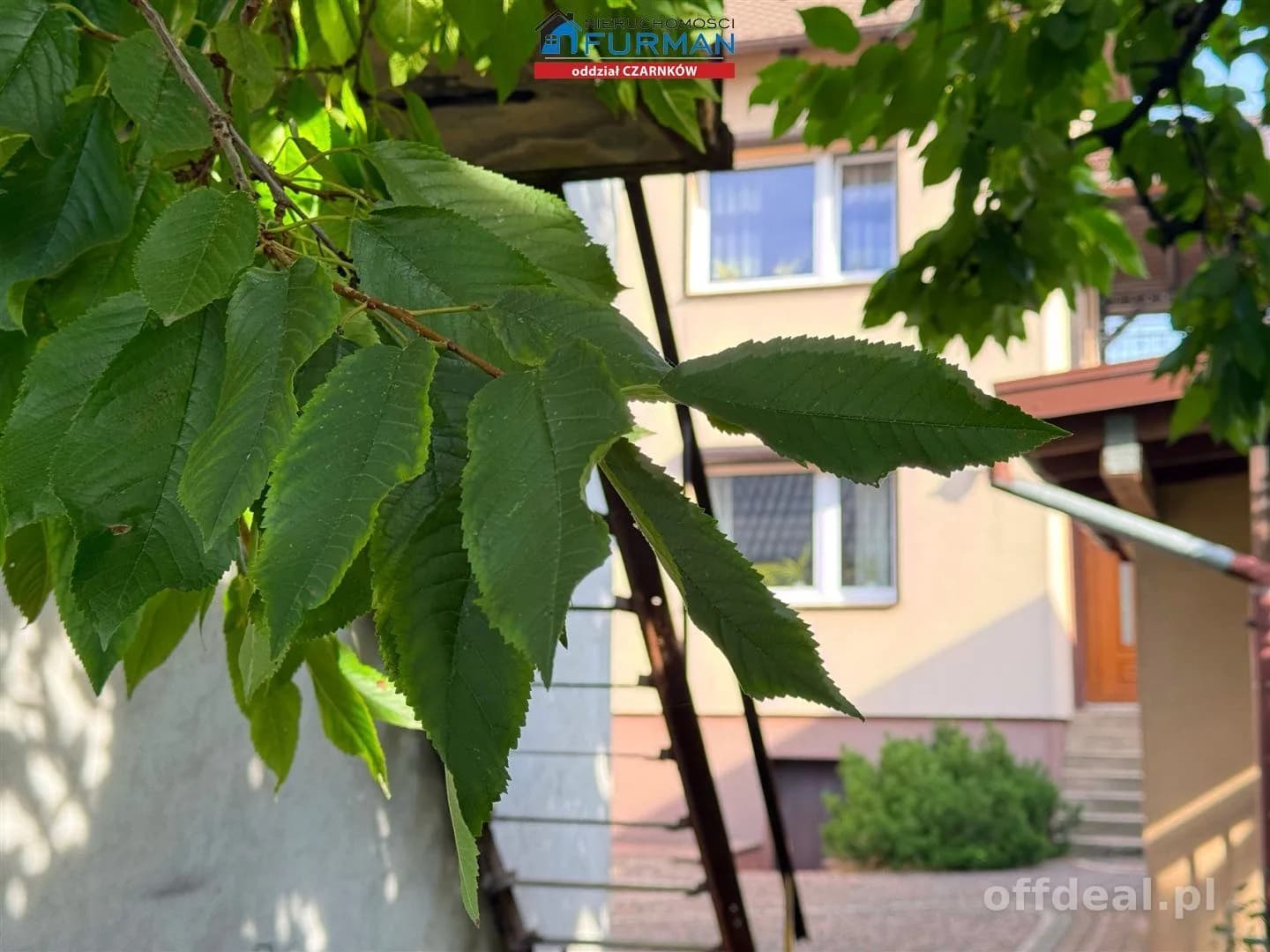 Zdjęcie 7: Dom, 5 pokoje, 118 m², Połajewo