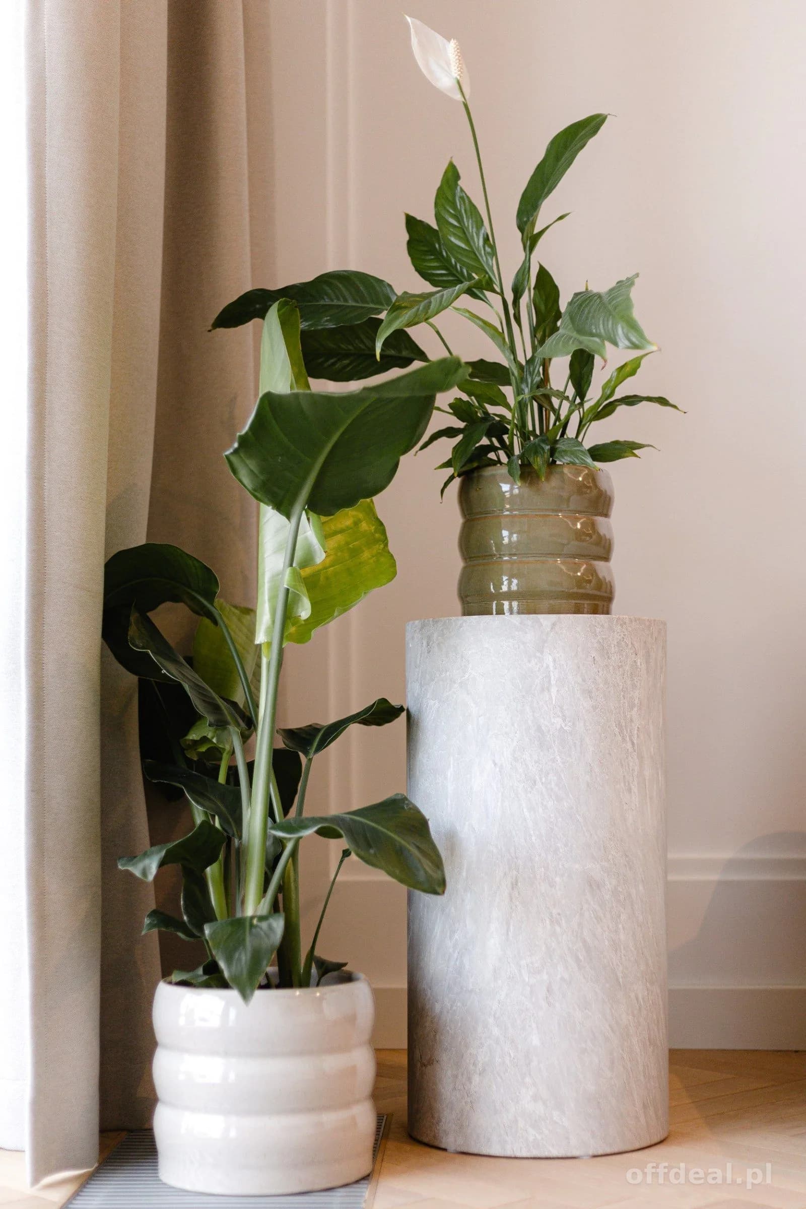 Apartament premium z sauną, siłownią i grotą solną