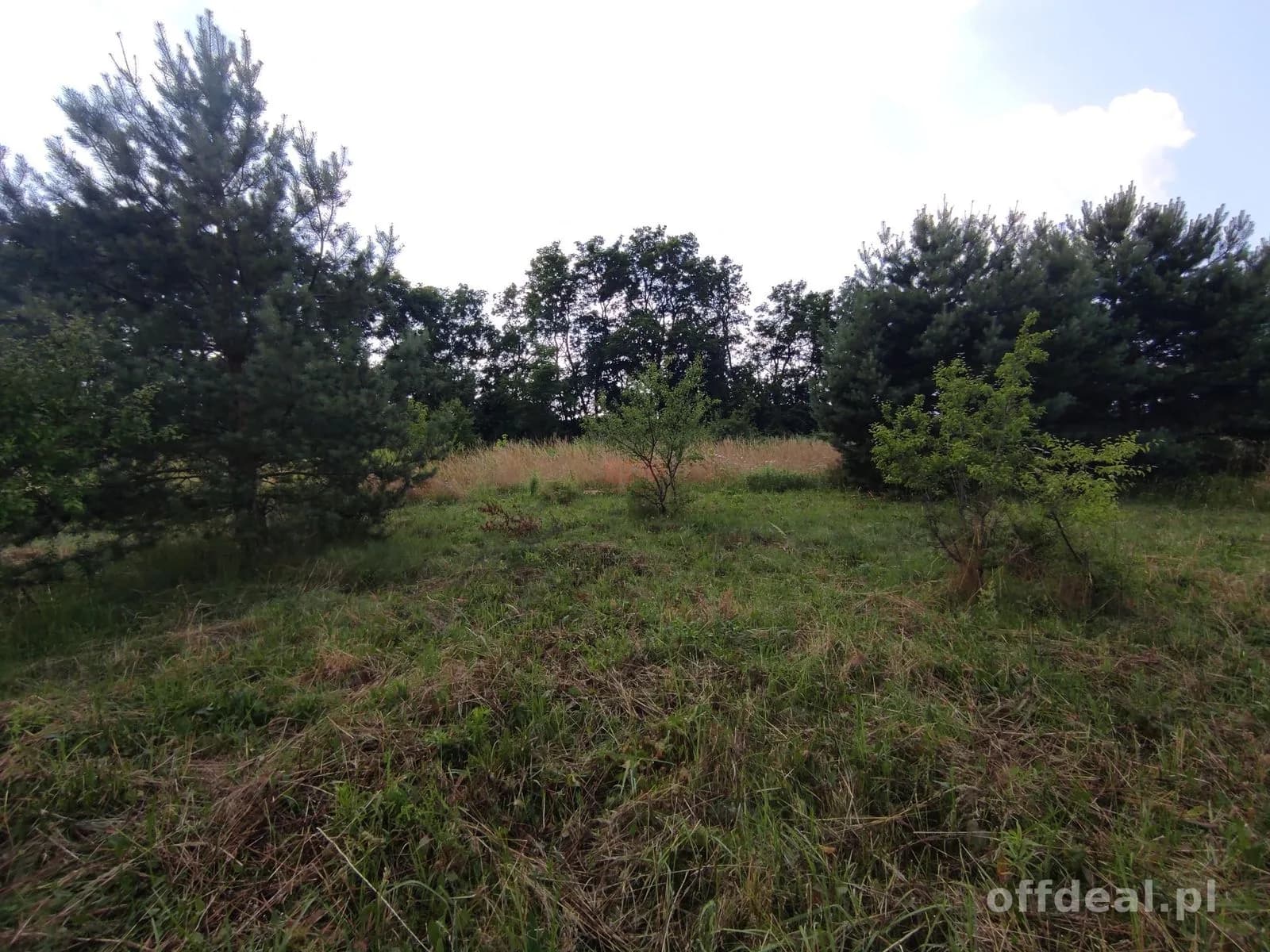 Ładnie położona działka w Zawoni koło Trzebnicy