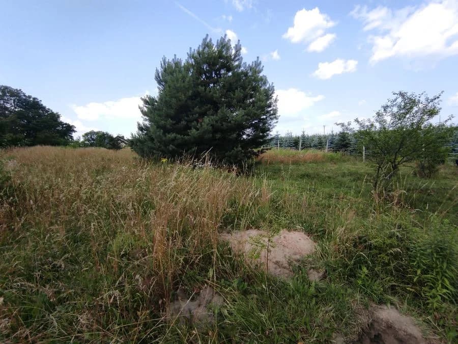 plot for sale in Zawonia | 906 m²